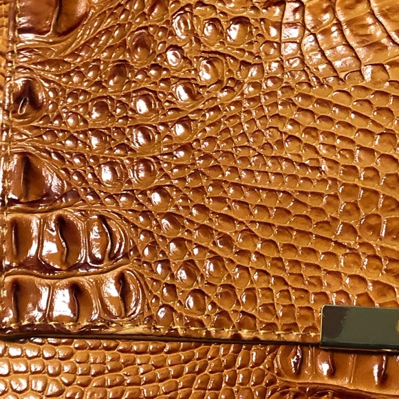 Tan Crocodile Crossbody Bag - Picture 4 of 7